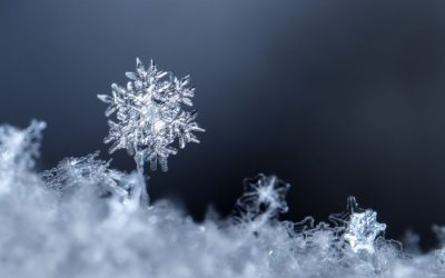 Le CA et les salarié·es de l’Acepprif vous souhaitent de belles fêtes !