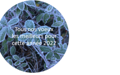 Tous nos voeux 2022