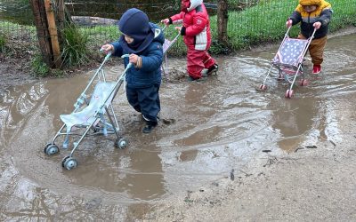 La crèche Moulin Bleu dans “les Pros de la petite enfance”