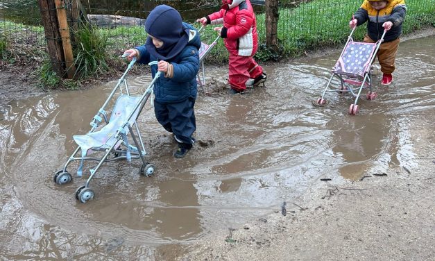 La crèche Moulin Bleu dans “les Pros de la petite enfance”