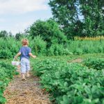 Jardins en fête dans des villes d’Ile-de-France : ça commence ce week-end !
