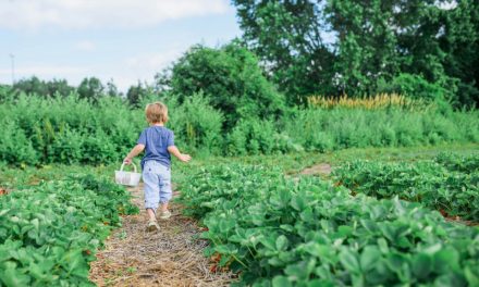 Jardins en fête dans des villes d’Ile-de-France : ça commence ce week-end !